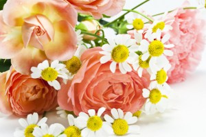 自分開花の7つのレッスン「ピュアブルームメソッド」のご紹介です。